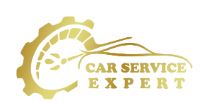 car service expert